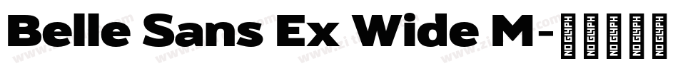 Belle Sans Ex Wide M字体转换